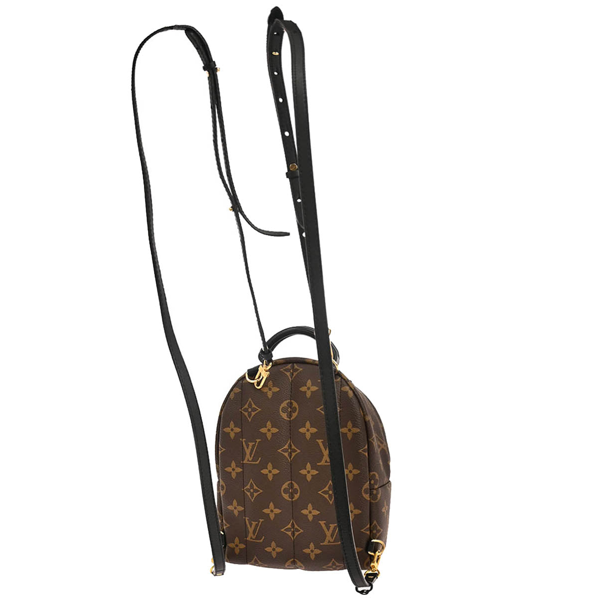Louis Vuitton Palm Springs Mini Backpack M44873