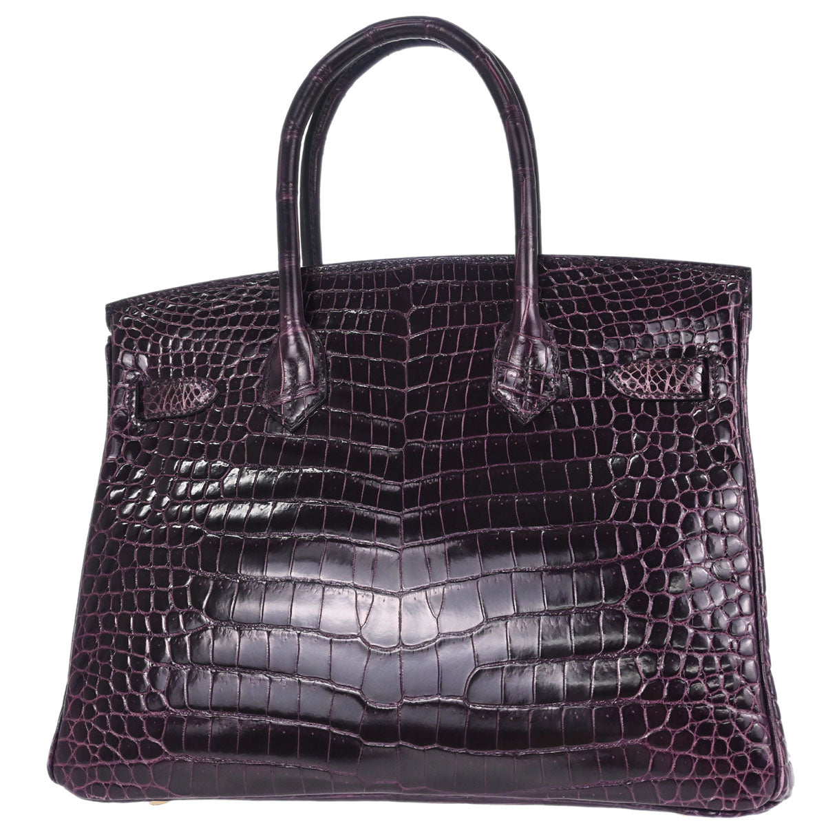 Hermes * Aubergine Porosus Birkin 30 Handbag