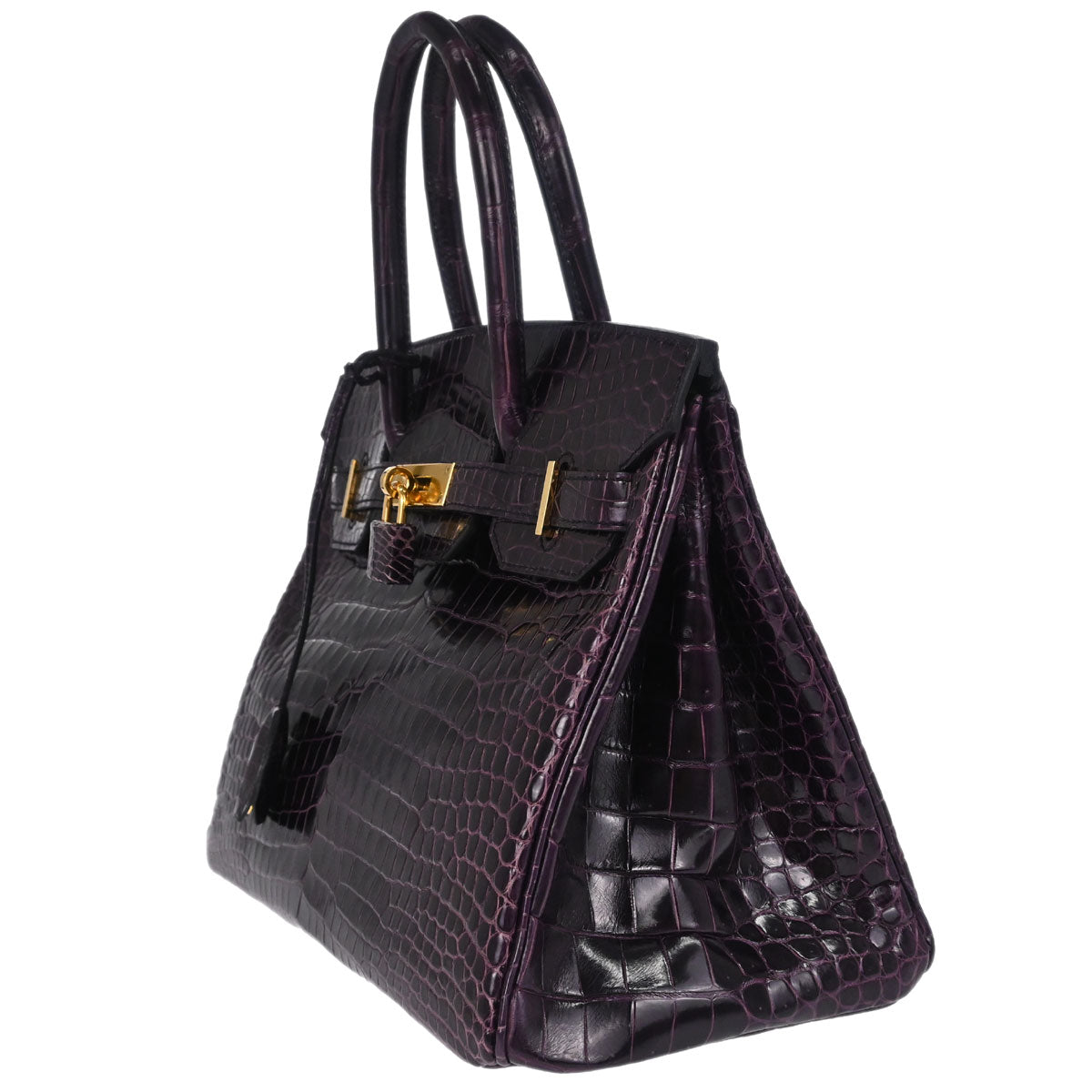 Hermes * Aubergine Porosus Birkin 30 Handbag