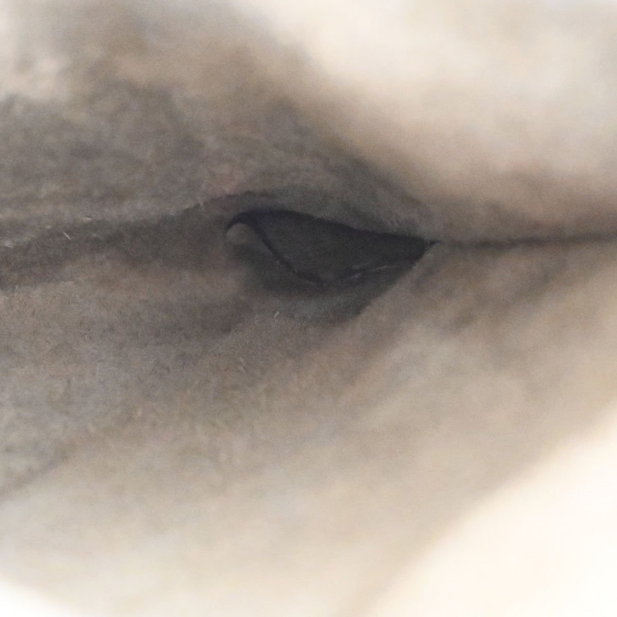 Celine Gray Luggage Micro Shopper Handbag