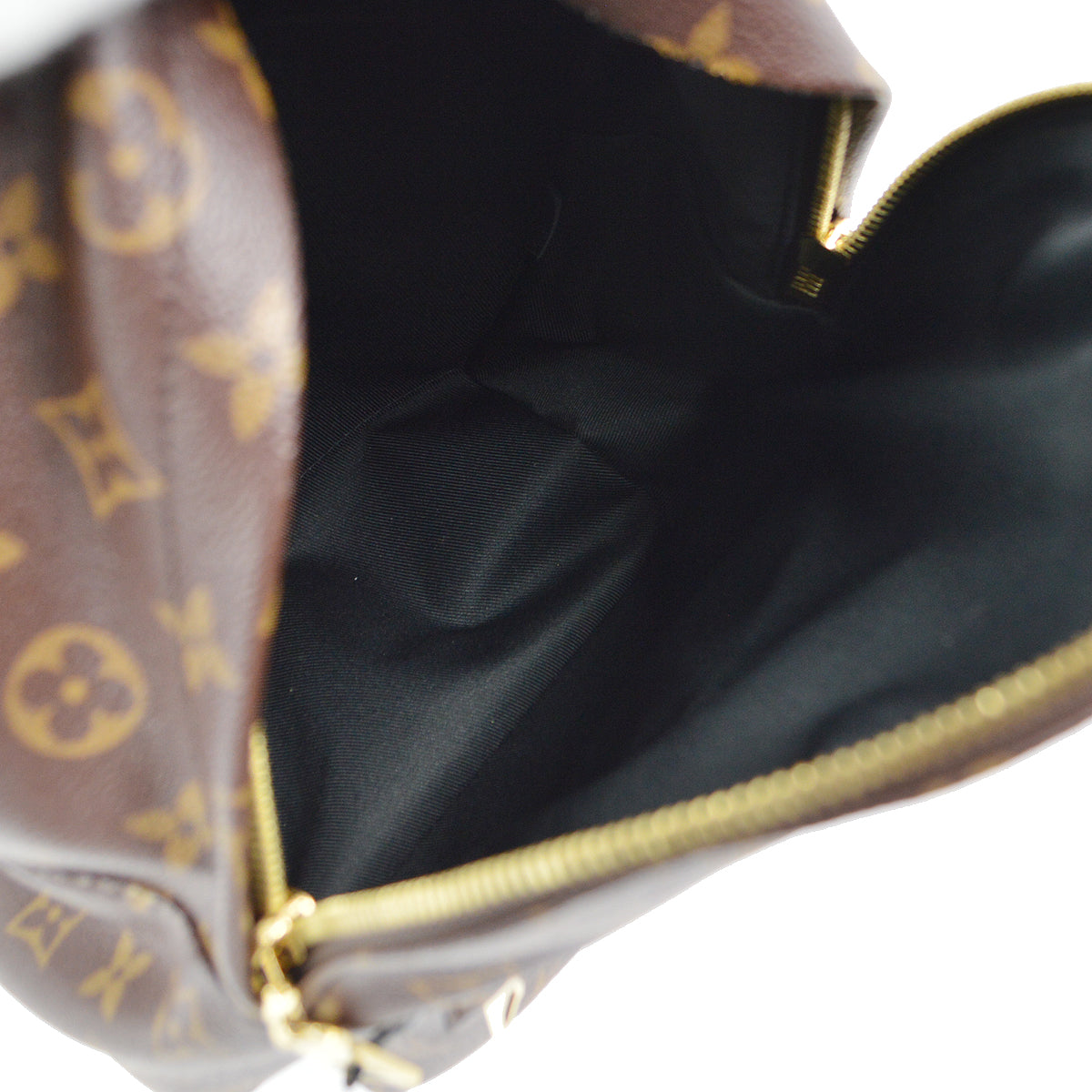 Louis Vuitton 2018 Monogram Palm Springs PM Backpack M41560
