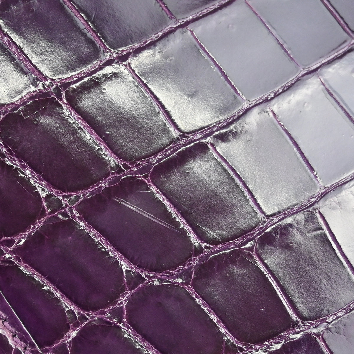 Hermes * 2015 Cassis Niloticus Crocodile Jige Elan 29 Clutch Handbag