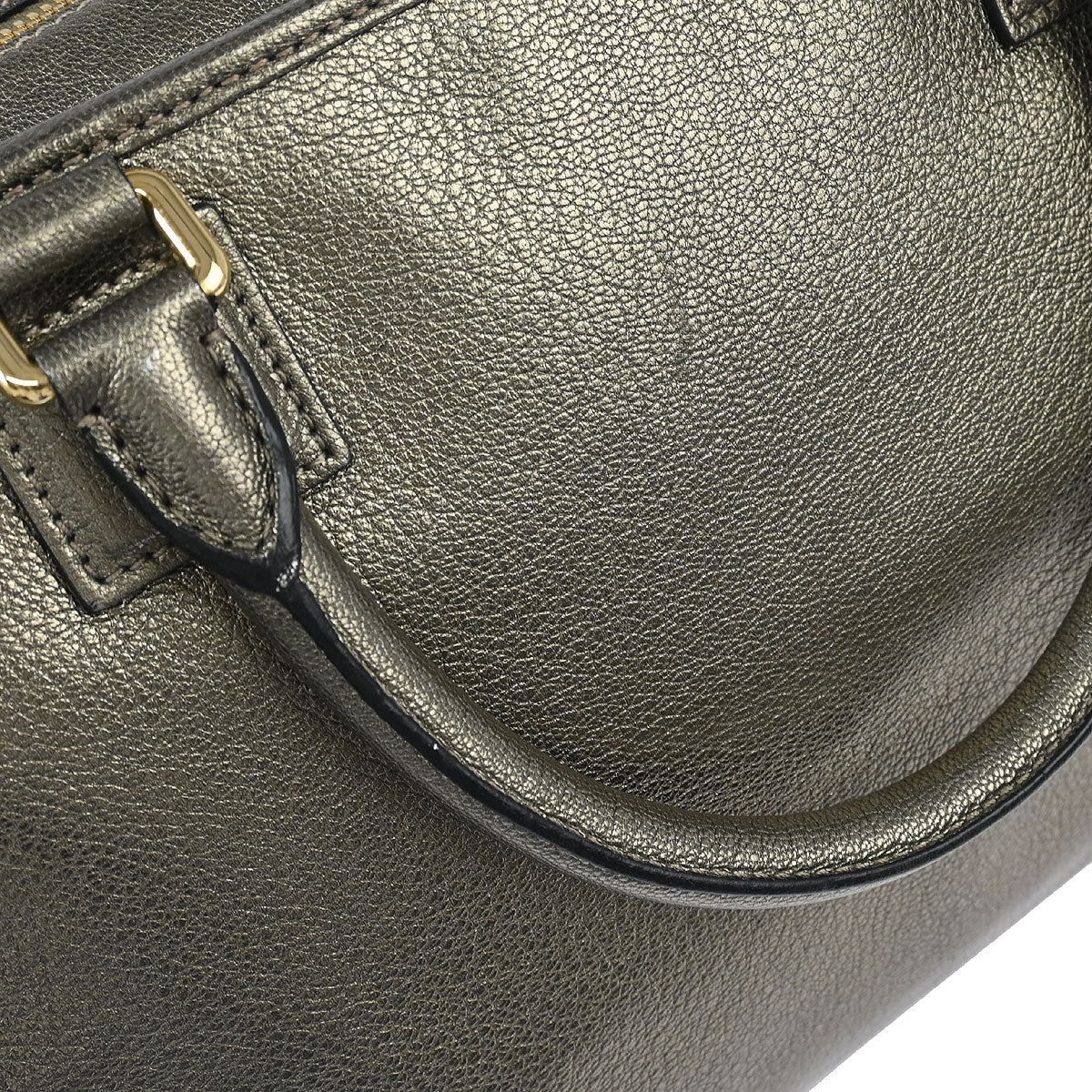 Loewe 2012 Gold Amazona 36 Handbag