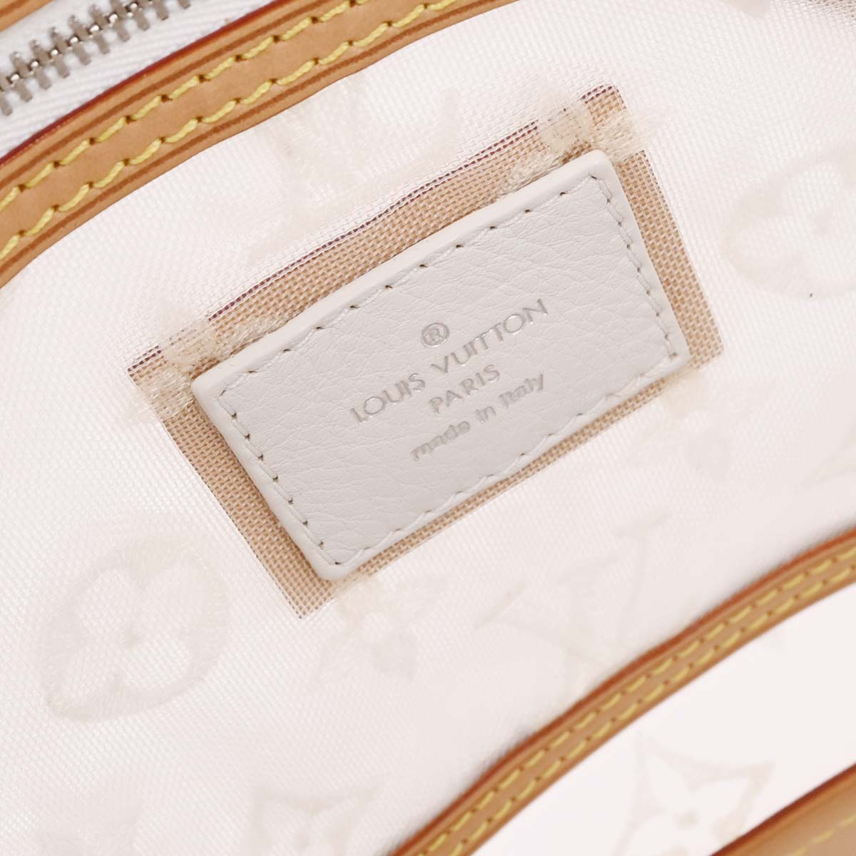 Louis Vuitton Monogram Transparent Lockit East West Tote M40701