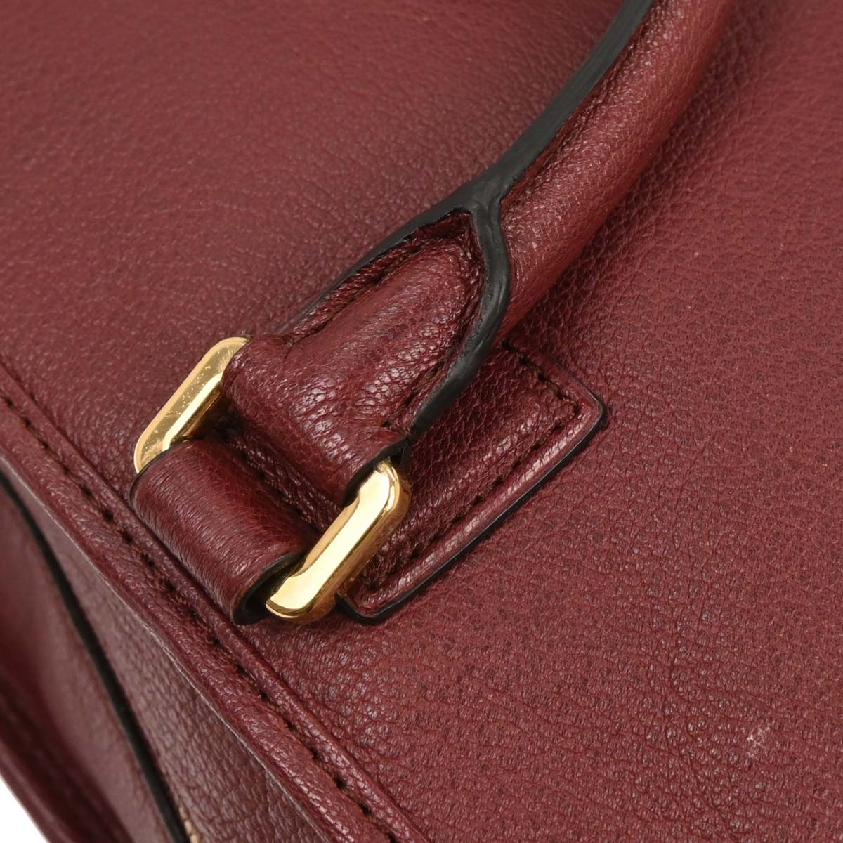 Loewe Bordeaux Amazona 36 Handbag