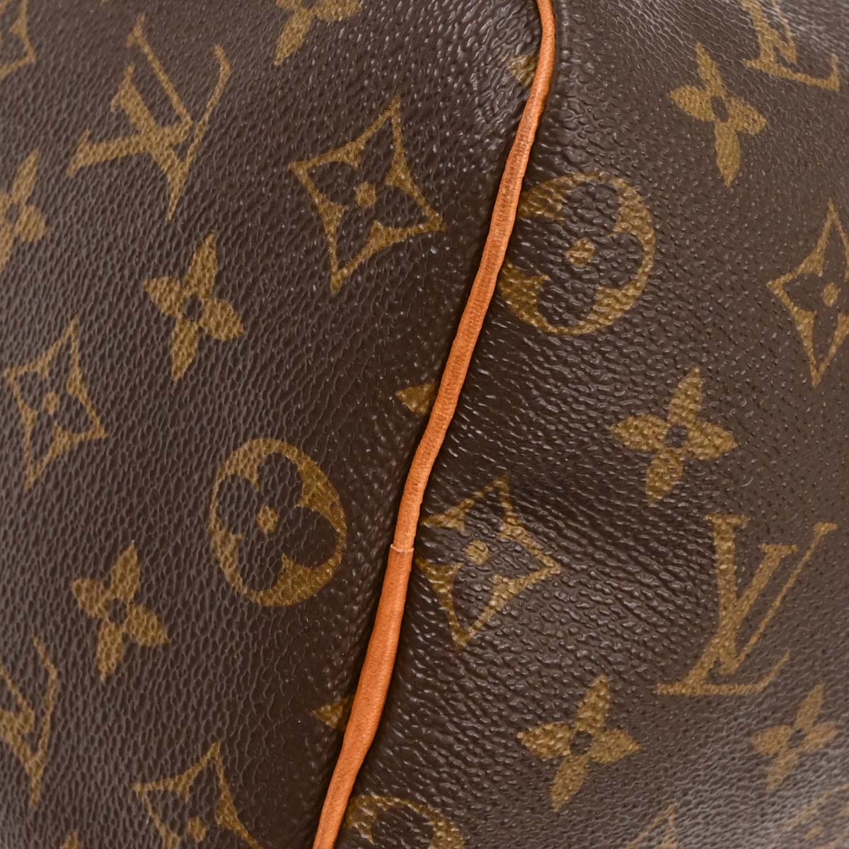 Louis Vuitton Monogram Speedy 25 Handbag M41109