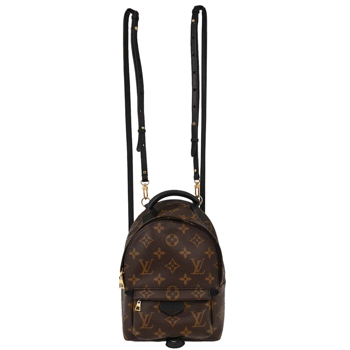 Louis Vuitton Palm Springs Mini Backpack M44873