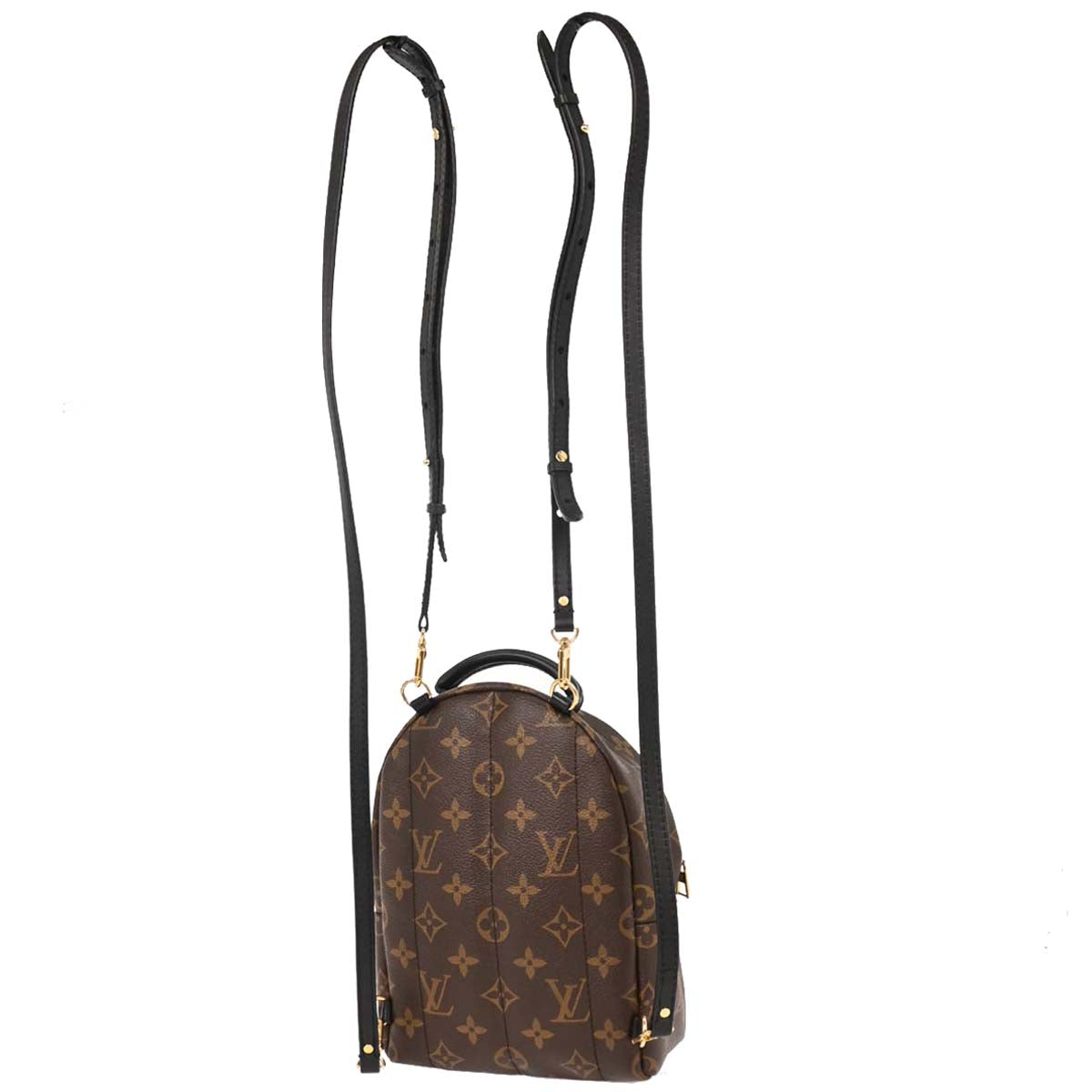 Louis Vuitton Palm Springs Mini Backpack M44873