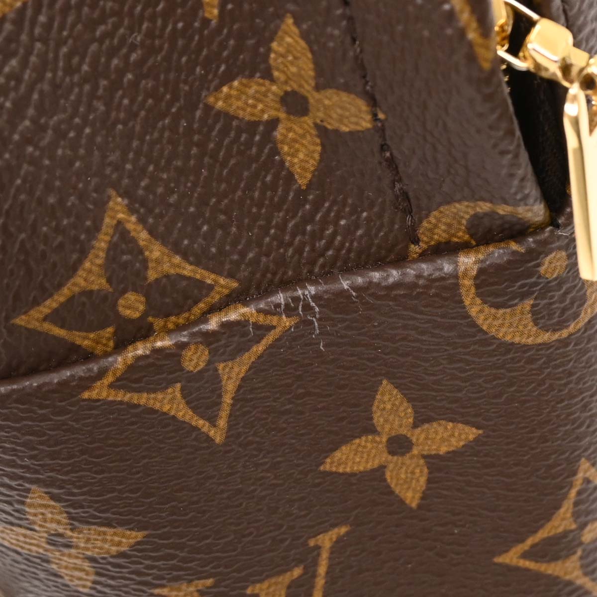 Louis Vuitton Palm Springs Mini Backpack M44873