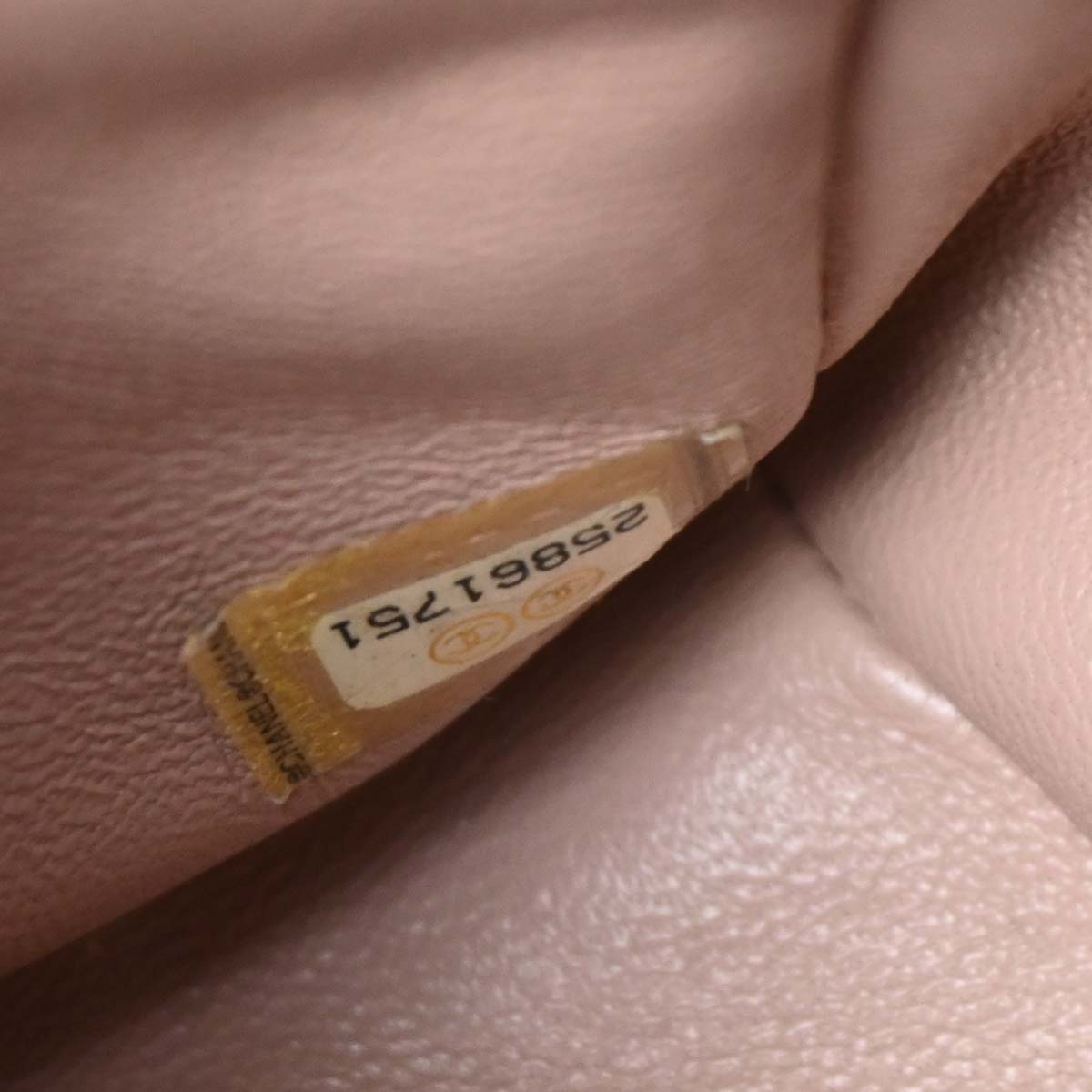 Chanel 2018 Pink Calfskin Sequins Backpack