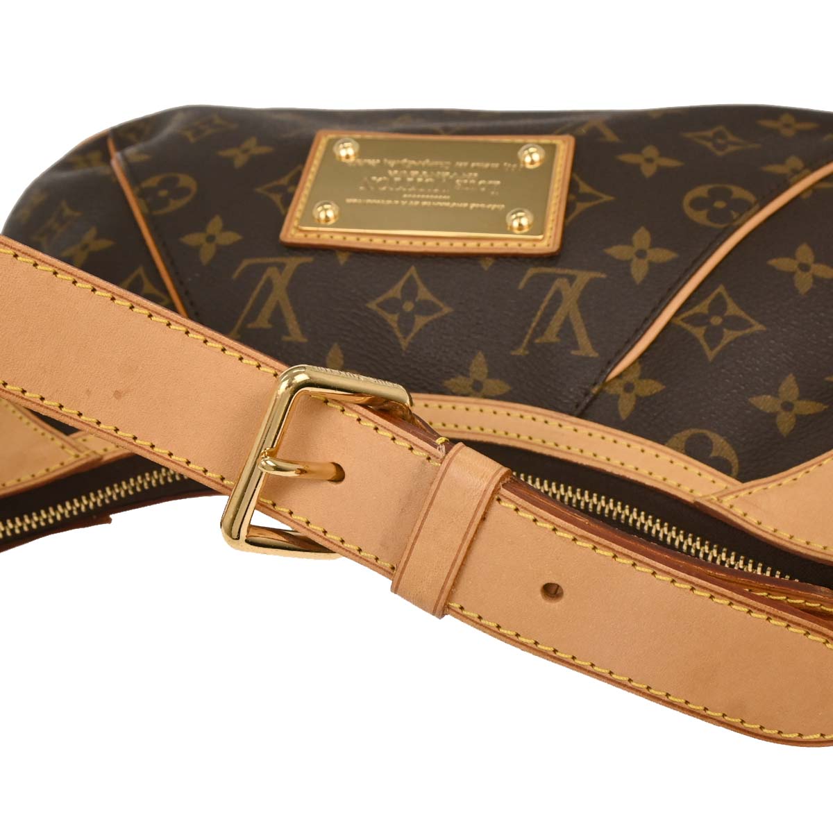 Louis Vuitton Monogram Thames PM Hobo Handbag M56384