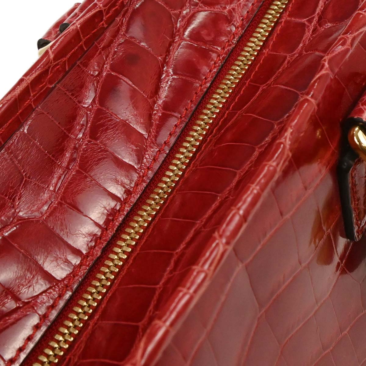 Loewe * Red Crocodile Amazona 28 Handbag