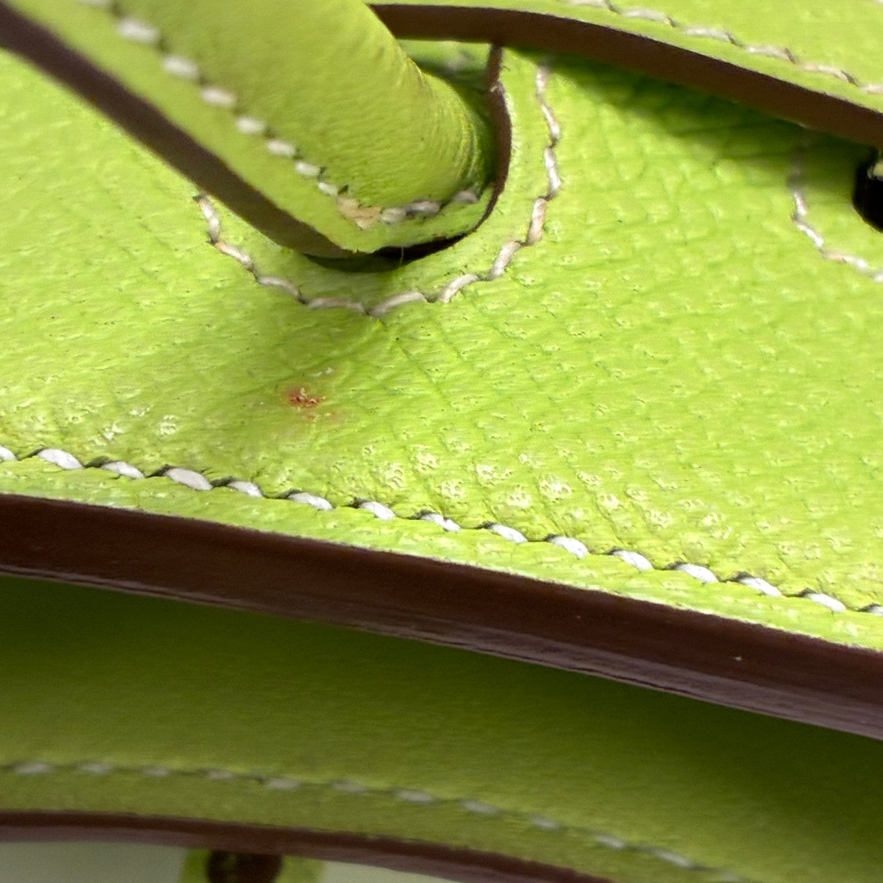 Hermes 2010 Kiwi Epsom Tiny Birkin 15 Shoulder Bag