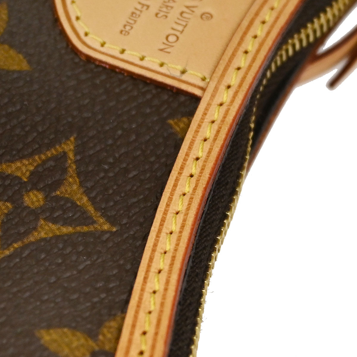 Louis Vuitton Monogram Mini Pochette Delightful Handbag M40309