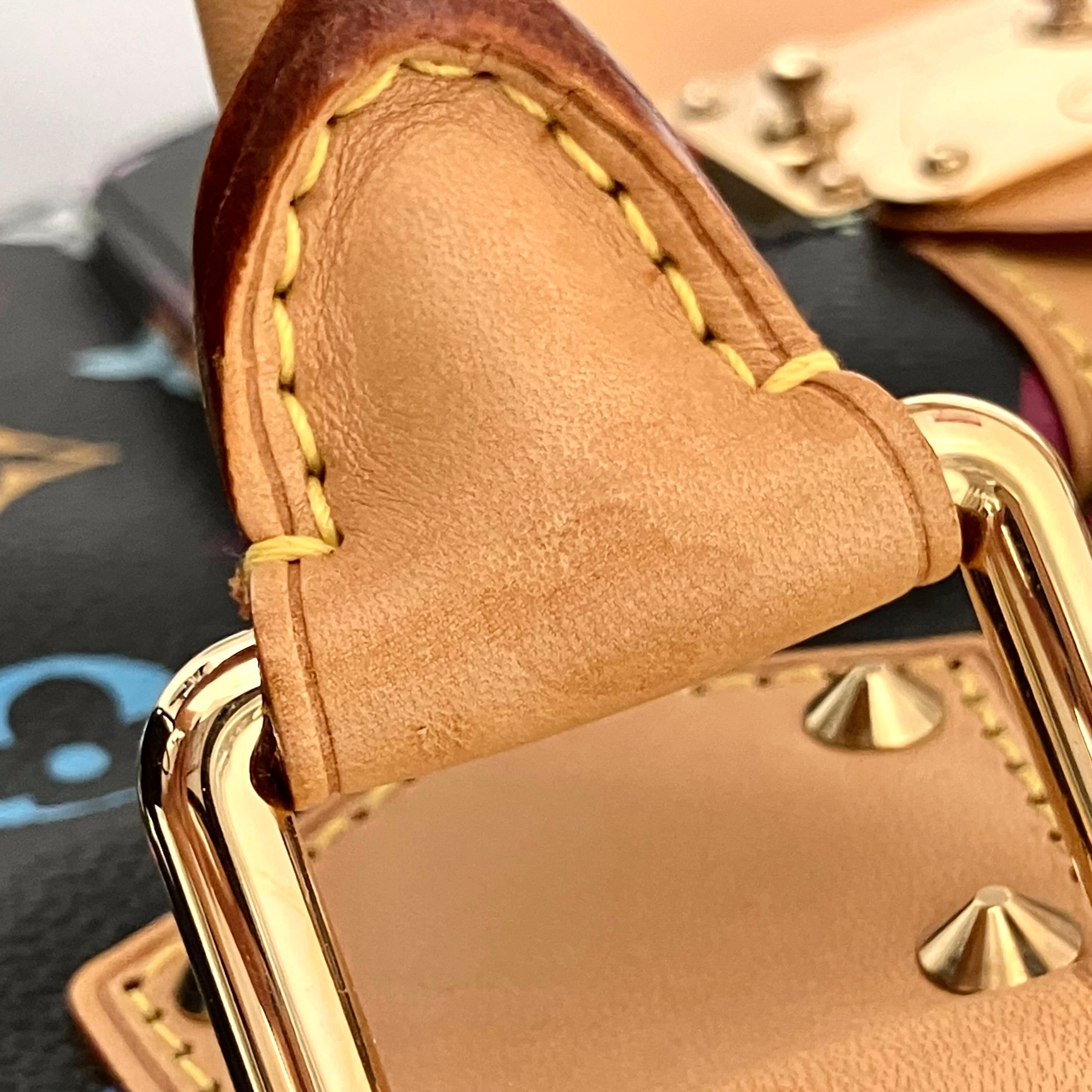 Louis Vuitton 2010 Black Monogram Multicolor Speedy 30 Handbag M92642