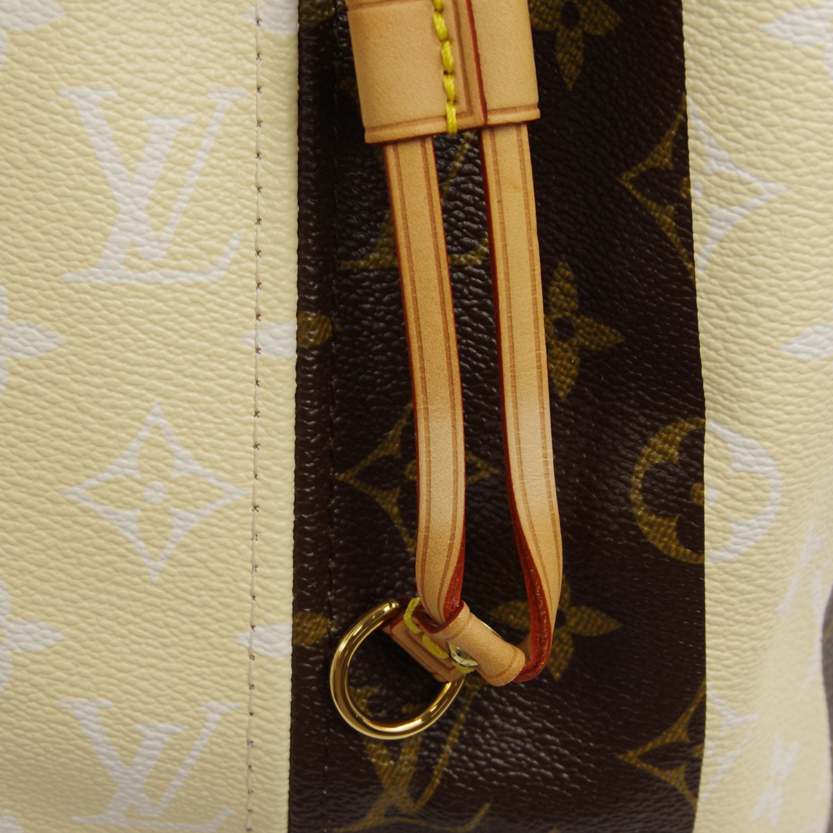 Louis Vuitton 2011 Neverfull TGM Monogram Rayures M40562