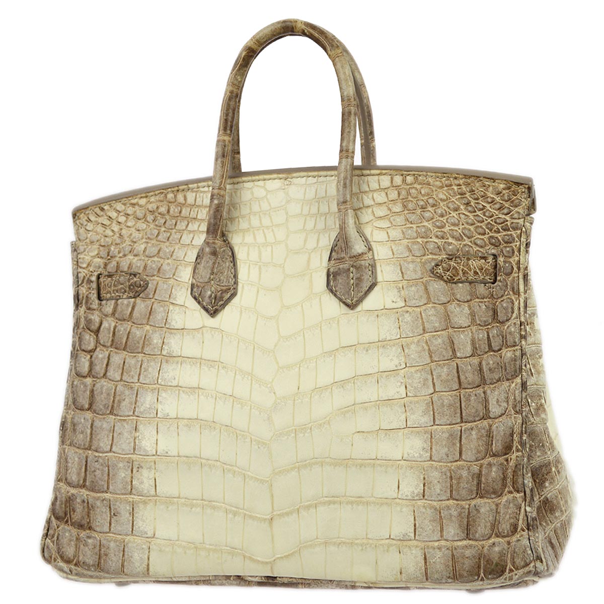 Hermes * 2012 Matte Niloticus Himalaya Birkin 25 Handbag