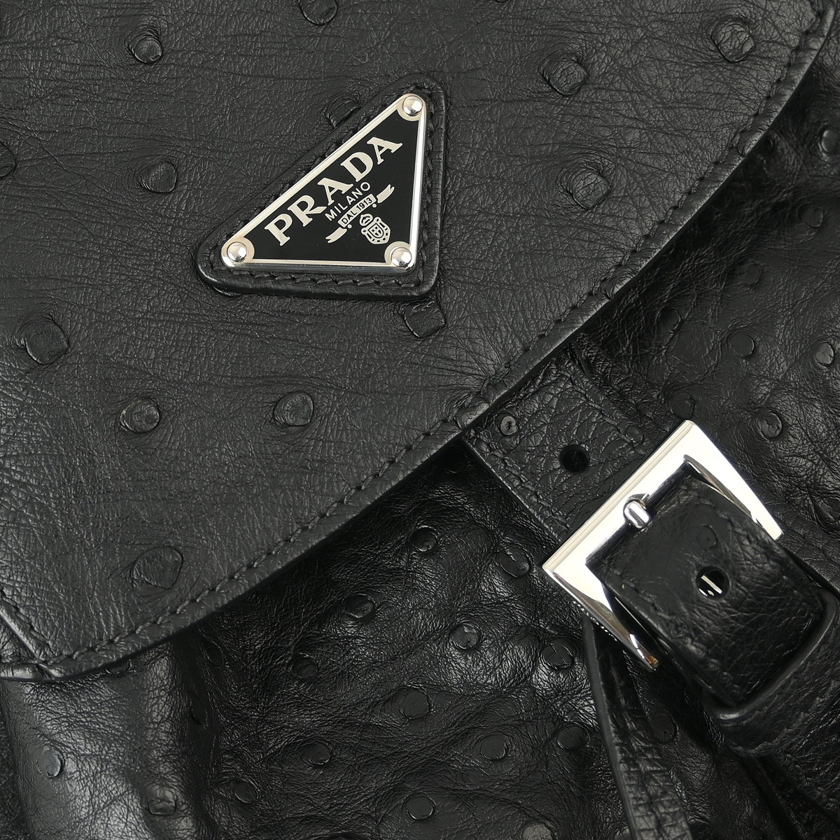 Prada * Black Ostrich Backpack