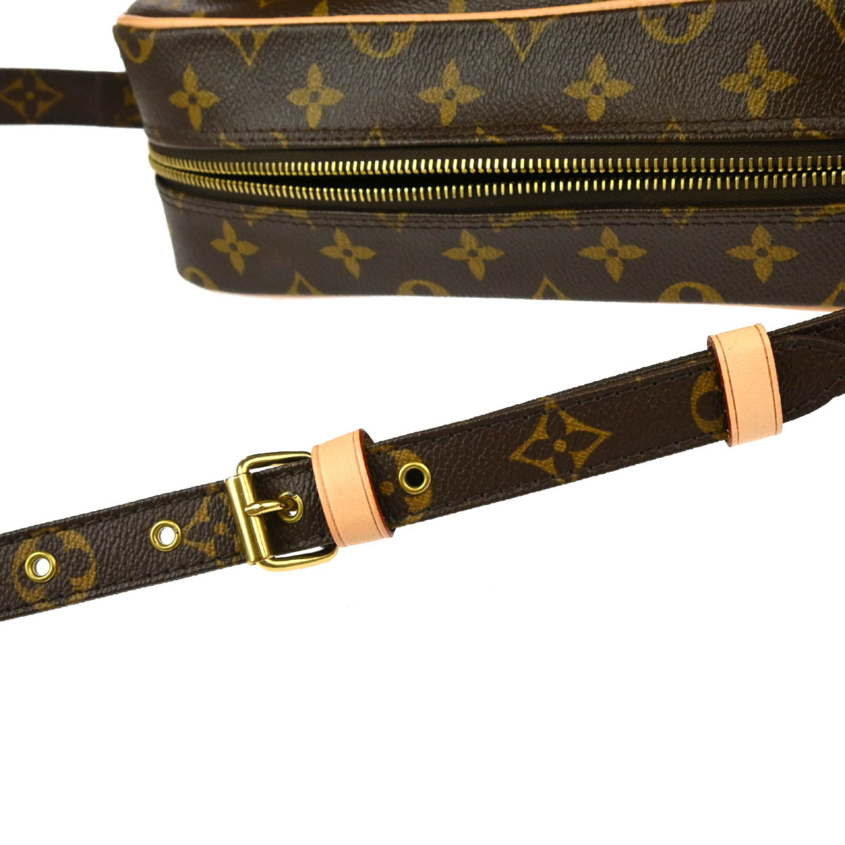 Louis Vuitton 2010 Monogram Nile Shoulder Bag M45244