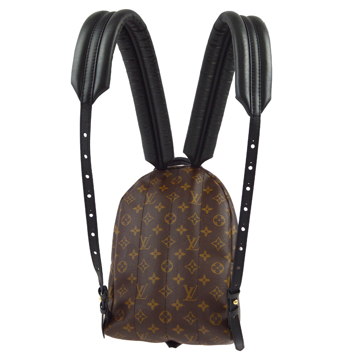 Louis Vuitton 2018 Monogram Palm Springs PM Backpack M41560