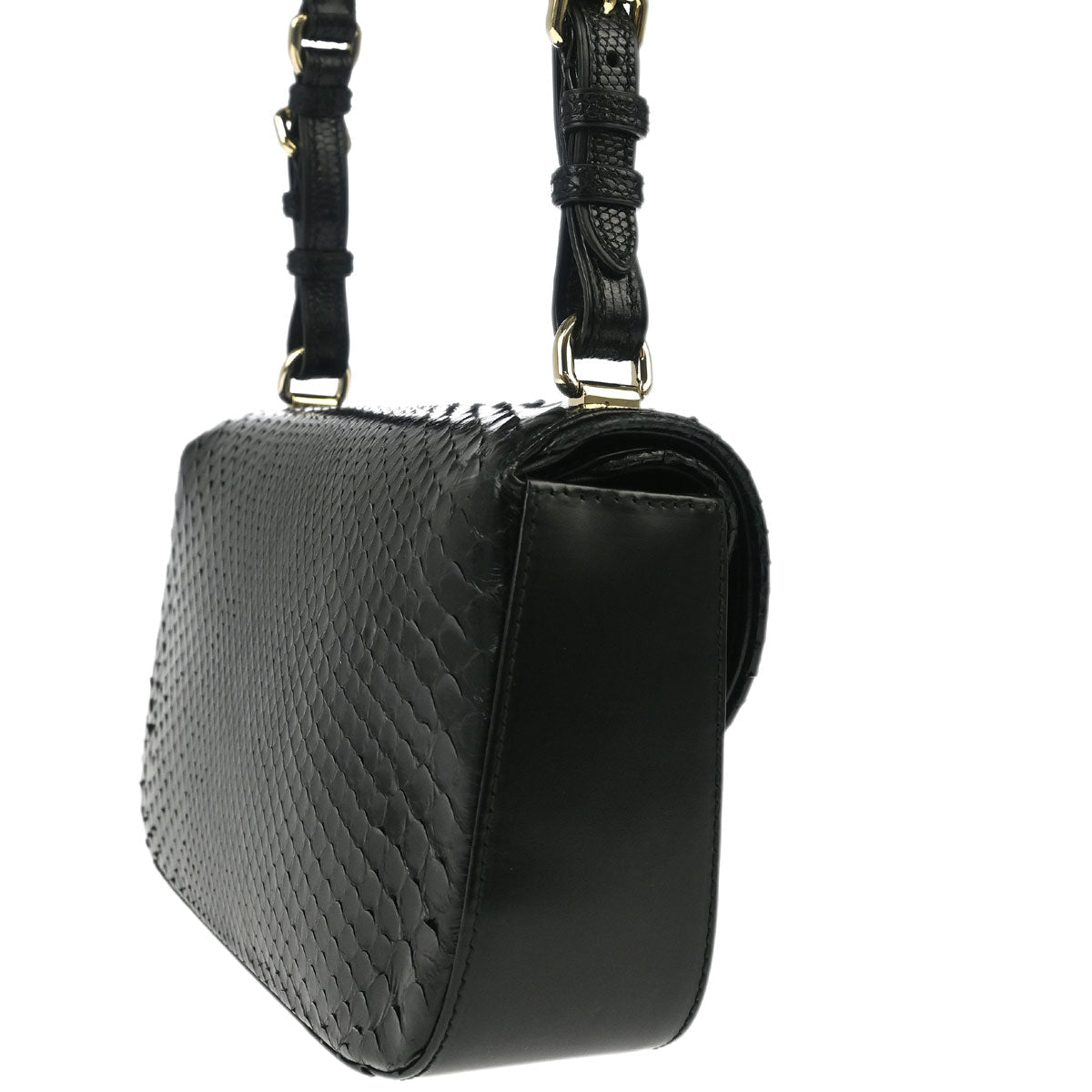 Christian Dior * 2010 Black Python Handbag