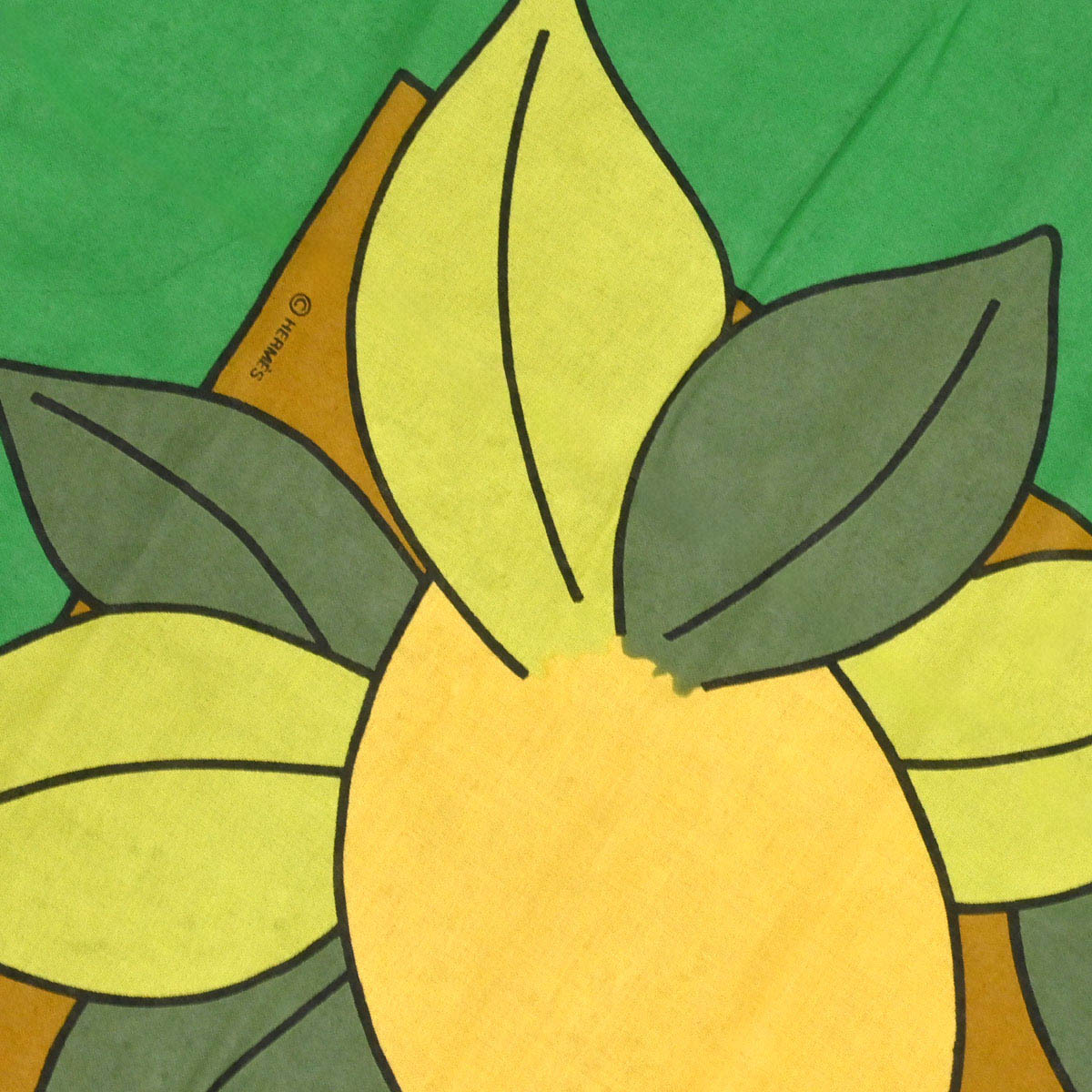 Hermes Pareo Stole Lemon Green Small Good
