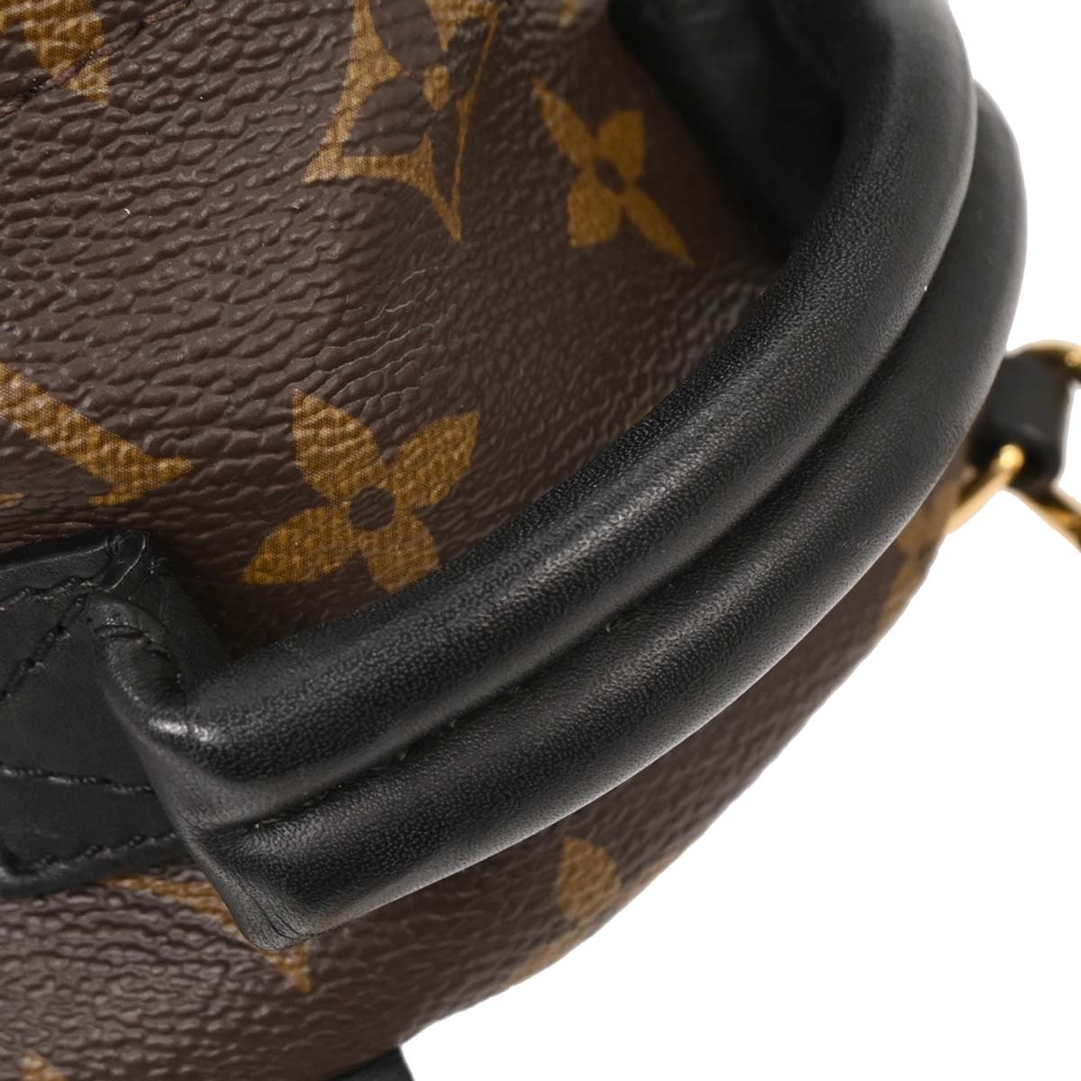 Louis Vuitton Palm Springs Mini Backpack M44873