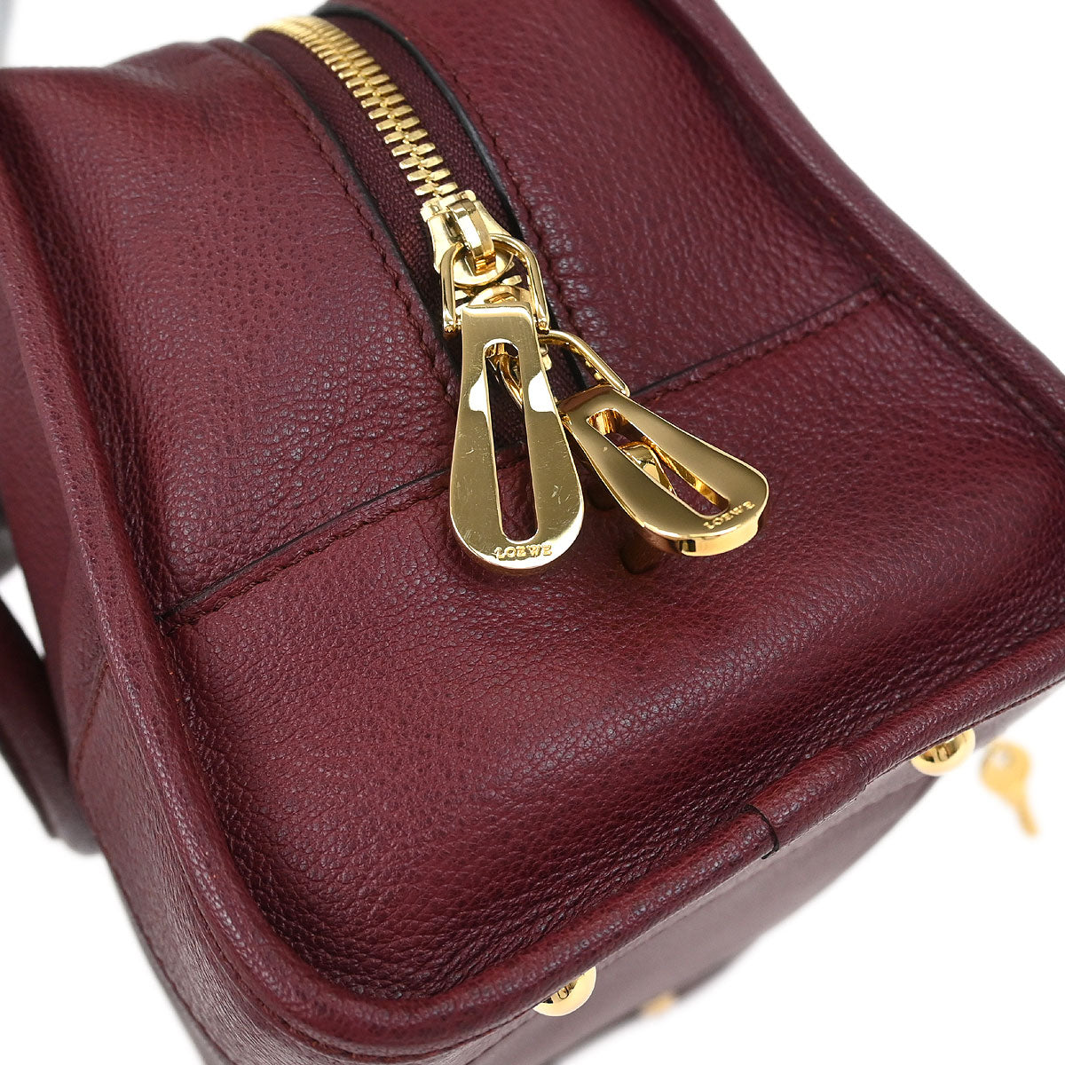 Loewe Bordeaux Amazona 28 Handbag