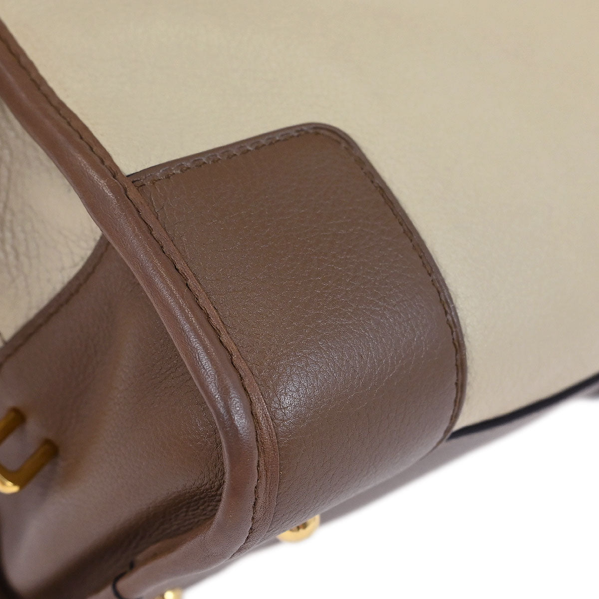 Loewe Beige Brown Bordeaux Amazona 28 Handbag