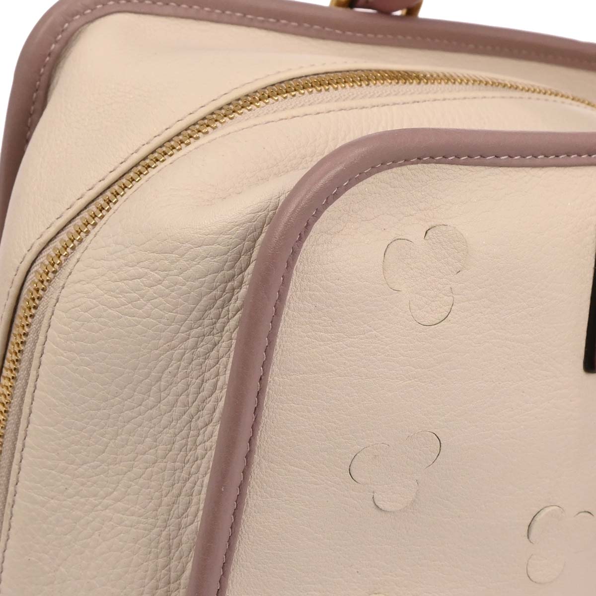 Loewe Off-white Leather Cherry Blossom Amazona 36 Handbag