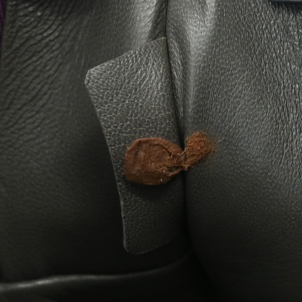 Loewe * Purple Crocodile Amazona 23 Handbag