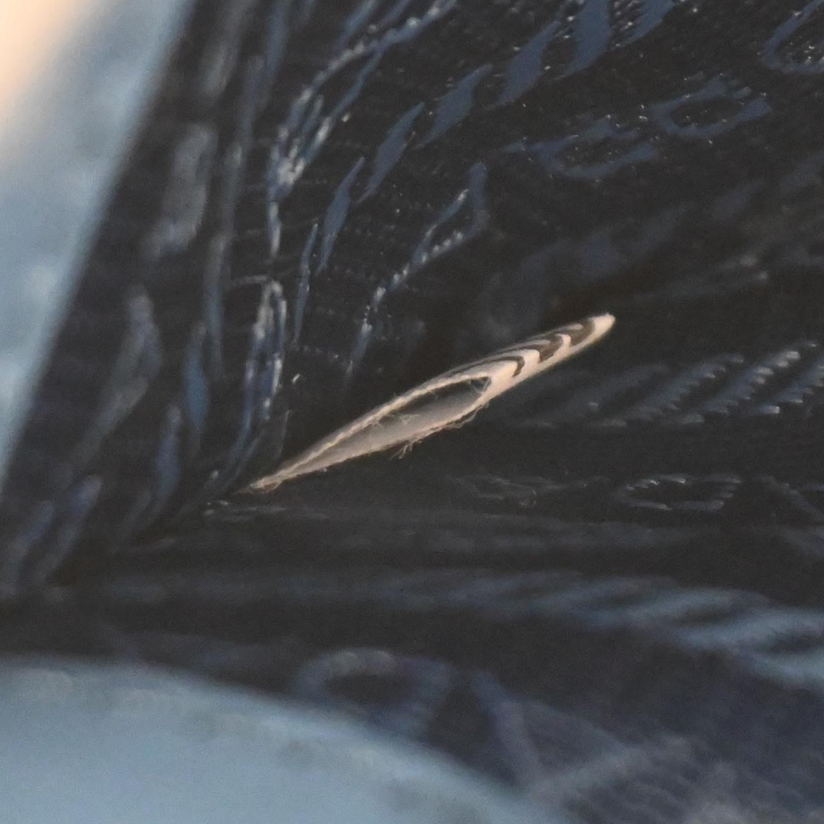 Prada Blue Leather Diagramme Chain Shoulder Bag