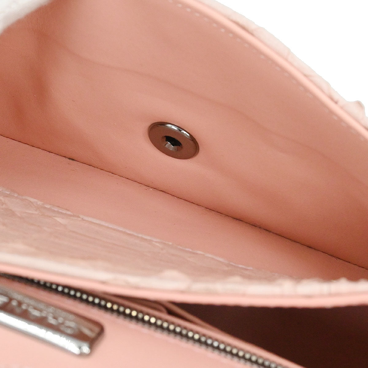 Chanel * Light Pink Python Medium Classic Double Flap Shoulder Bag