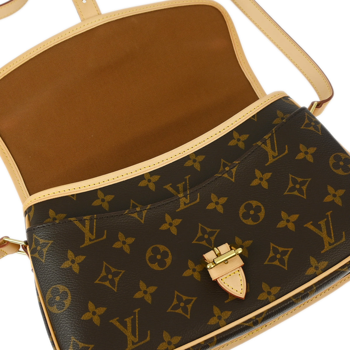 Louis Vuitton Monogram Sologne Shoulder Bag M42250