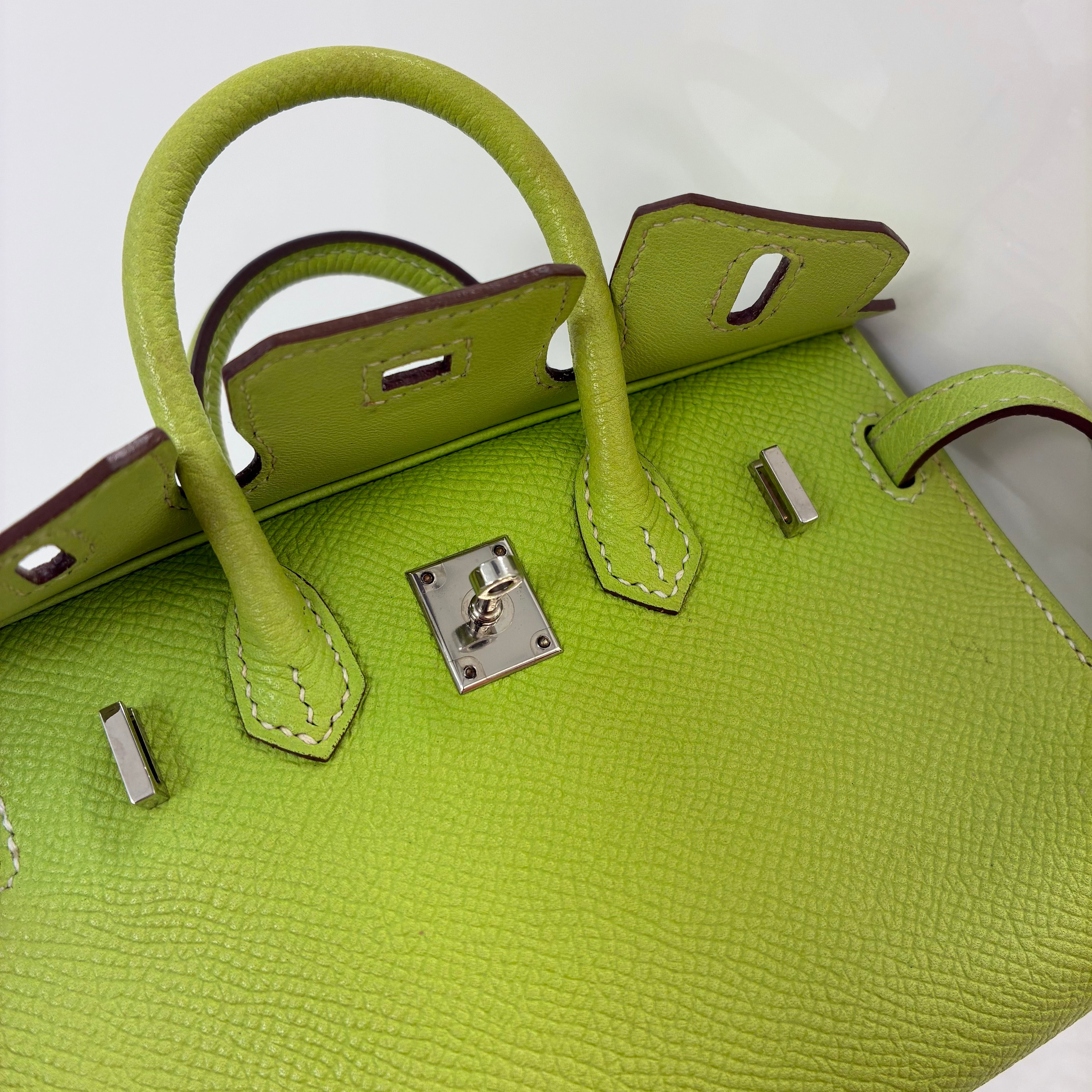 Hermes 2010 Kiwi Epsom Tiny Birkin 15 Shoulder Bag