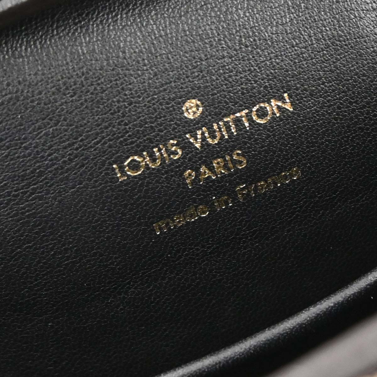 Louis Vuitton Monogram Reverse Column Shoulder Bag M44101